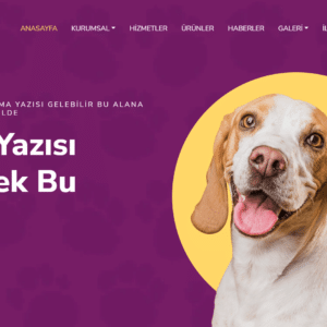 pet shop web tasarım